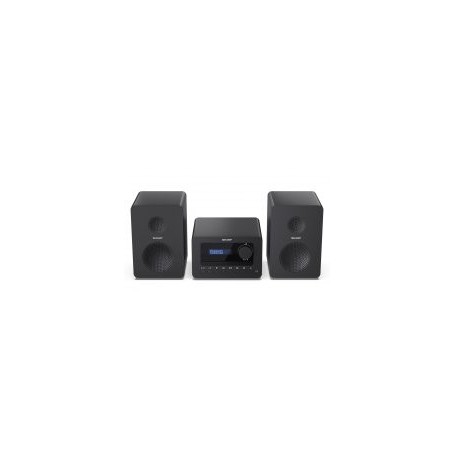 Sharp XL-B520D DAB + / BT Hifi System noir