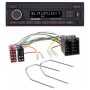 Blaupunkt Valencia 200 Dab bt Short Shaft