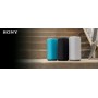 Sony SRS-XE300 Gray-Repellent de l'eau