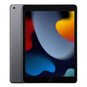 Apple iPad 10.2 '' WiFi 64 Go 9gen (2021) Gray