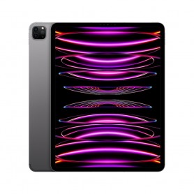Apple 2022 12,9" iPad Pro (Wi-Fi, 256 GB) - Space Grau (6. Generation)