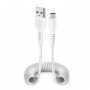 Câble USB Câble USB 2.0 - Type-C Blanc