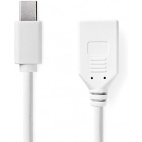 Mini câble Display Port | DisplayPort 1.2 | Mini DisplayPort mâle | DisplayPort femelle | 21.6 Gbps | Plaqué nickel | 0.20 m | R