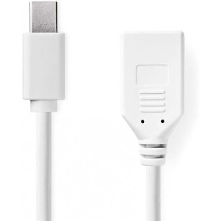 Mini câble Display Port | DisplayPort 1.2 | Mini DisplayPort mâle | DisplayPort femelle | 21.6 Gbps | Plaqué nickel | 0.20 m | R