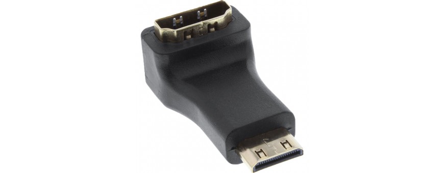 HDMI vers HDMI/DVI/ Mini HDMI