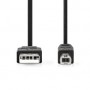 Câble USB | USB 2.0 | USB-A Mâle | USB-B Mâle | 10 W | 480 Mbps | Plaqué nickel | 1.00 m | Rond | PVC | Noir | Label