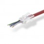 Connecteur RJ45 | RJ45 Pass Through | Solide UTP CAT5 | Droit | Plaqué or | 10 pièces | PVC | Transparent | Boîte