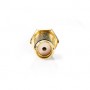 Prise Péritel | Droit | Femelle | Plaqué or | 50 Ohm | Ondulation | Diamètre d\'entrée de câble: 2.55 mm | Métal | Or | 2 pièces
