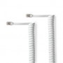 Câble Telecom | RJ10 Mâle | RJ10 Mâle | 2.00 m | Conception de câble: Enroulé | Type de câble: RJ10 | Blanc