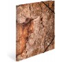 HERMA Chemise lastiques "Nature", A3, carton, Wood
