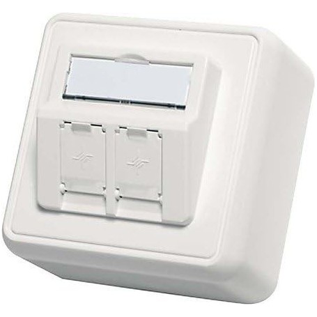 Telegärtner h02000?a0092?Enregistrement Module Prise pour Montage en saillie avec intégrée clapets Anti-poussière de 2?Apparent 