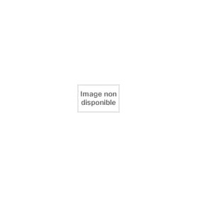 Lycoris Recoil Chisato Nishikigi figure 16cm