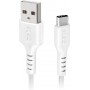 Câble USB Câble USB 2.0 - Type-C Blanc