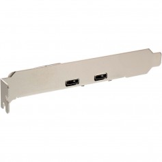 InLine® Slot Bracket 2x USB 2.0 Type C femelle vers en-tête de la carte mère interne mâle 0.5m