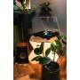 Audio-Technica LP60XBTBK Platine Vinyle Sans Fil à Entraînement par Courroie Automatique Noir