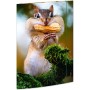 RNK 45375 - Chemise à dessin Chipmunk 310 x 440 mm, Chemise pour documents DIN A3, avec fermeture élastique, 1 pièce