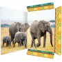 RNK 45377 - Porte-documents Eléphant 310 x 440 mm, Porte-documents pour DIN A3, avec fermeture élastique, 1 pièce