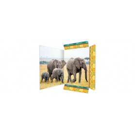 RNK 45377 - Porte-documents Eléphant 310 x 440 mm, Porte-documents pour DIN A3, avec fermeture élastique, 1 pièce