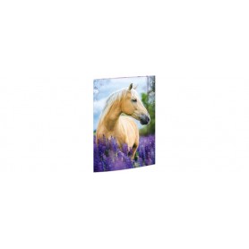 RNK 45381 - Porte-documents Rêves de chevaux 310 x 440 mm, Porte-documents pour DIN A3, avec fermeture élastique, 1 pièce