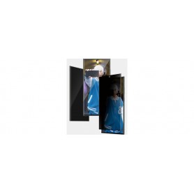 PanzerGlass Ultra Wide Fit Privacy Protection d'écran Transparent Samsung 1 pièce(s)