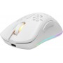 Deltaco DM220 Gaming Maus wireless ultraleicht RGB schwarz