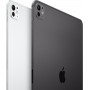 Apple iPad Pro 11\'\' WiFi 256GB 5Gen (2024) silber