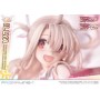 Fate statuette PVC 1/7 Prisma Wing Illyasviel von Einzbern Bonus Version 20 cm