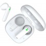 TIMEKETTLE WT2 Edge Translator Offline