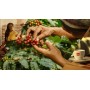 illy, Café En Grains Goût Classique - 1 boîte de 250g