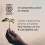 illy Café décaféiné torréfié moulu 250 g