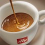 Café capsules espresso lungo classico compatibles
