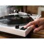 L-3810 Platine vinyle à entraînement direct avec enregistrement USB