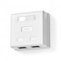 Boîte murale réseau | Sur le mur | 2-Port port(s) | UTP CAT6 | Droit | Femelle | Plaqué or | PVC | Blanc | Boîte