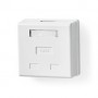 Boîte murale réseau | Sur le mur | 2-Port port(s) | UTP CAT6 | Droit | Femelle | Plaqué or | PVC | Blanc | Boîte