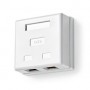 Boîte murale réseau | Sur le mur | 2-Port port(s) | STP CAT6 | Droit | Femelle | Plaqué or | PVC | Blanc | Boîte