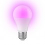 SMARTBULB10 Lampe couleur Smart LED avec Wi-Fi E27 9W