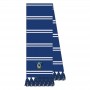 Harry Potter Ravenclaw scarf