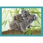 Noli Baby Cuddles puzzle 12-16-20-24pcs