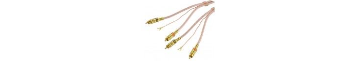 2 X RCA AUDIO PREMIUM