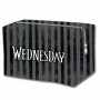 Wednesday vanity case