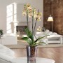 tera Pot orchide \"Orchidea 16\", transparent