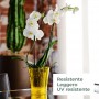 tera Pot orchide \"Orchidea 16\", transparent