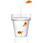 tera Pot de fleurs \"Porto 16\", transparent