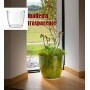 tera Pot de fleurs \"Madeira 11\", transparent