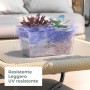 tera Pot de fleurs \"Coimbra 25\", transparent