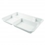 NATURE Star Plateau repas en canne sucre, 4 compartiments