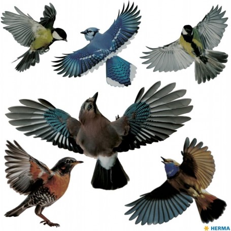 HERMA Etiquette de signalisation \"oiseaux\", multicolore