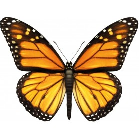 ROTH Bgelbild fr DIY-Stoffschultte, Schmetterling