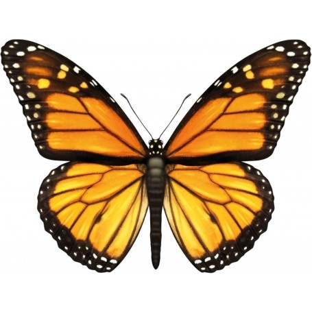 ROTH Bgelbild fr DIY-Stoffschultte, Schmetterling