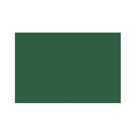 folia Papier de couleur, (L)500 x (H)700 mm, vert sapin